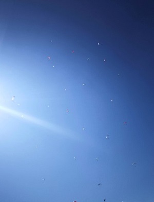 Image3