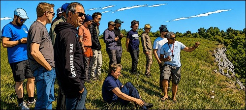 briefing Meloisey